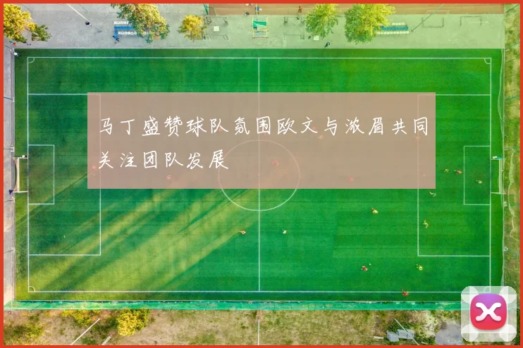 马丁盛赞球队氛围欧文与浓眉共同关注团队发展