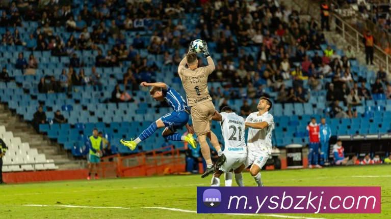 华体会体育平台生态图